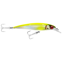 Rapala Saltwater X-Rap 12cm – 12cm / Chartreuse Live Roach
