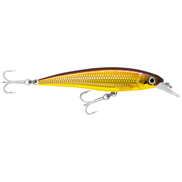 Rapala Saltwater X-Rap 12cm – 12cm / Golden Alburnus