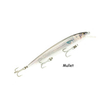 Raptor Patriot Live Series 6in – Mullet