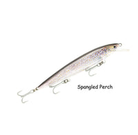 Raptor Patriot Live Series 6in – Spangled Perch