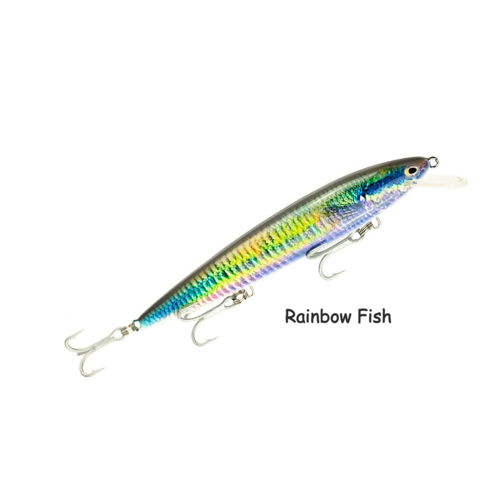 Raptor Patriot Live Series 6in – Rainbow Fish