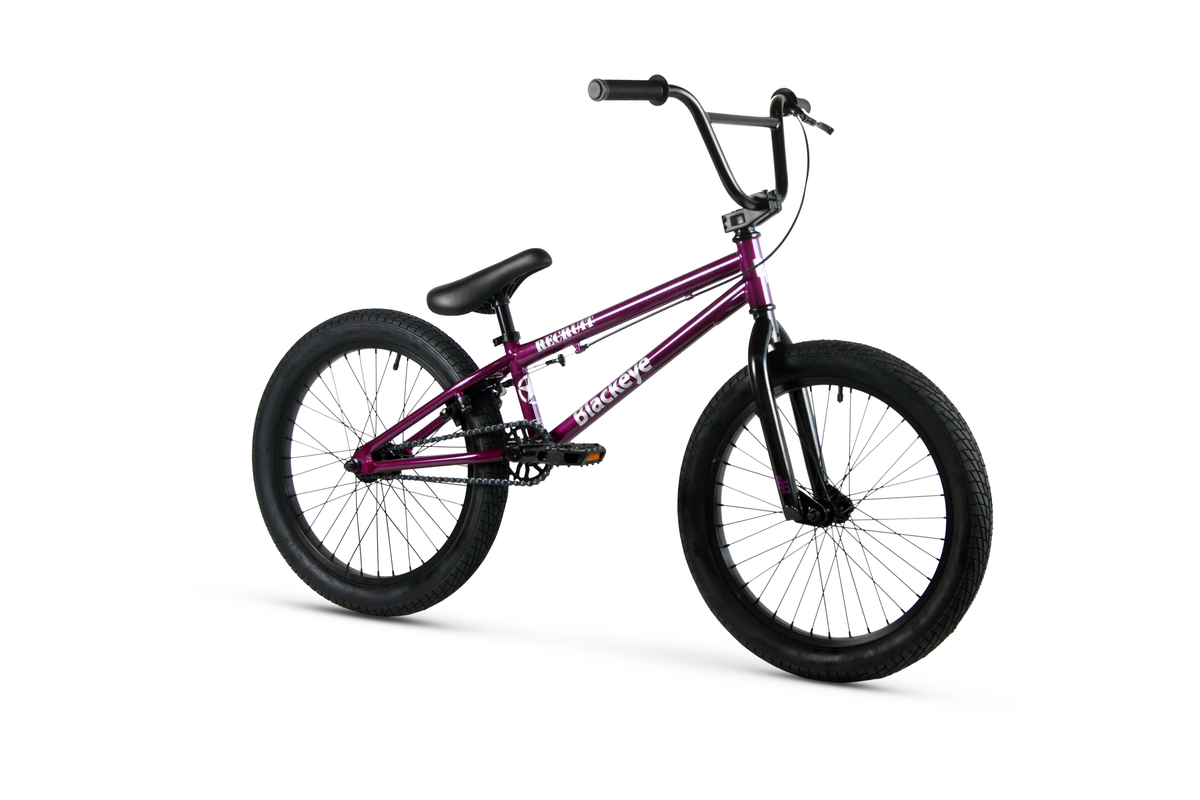 Blackeye Recruit 20" BMX