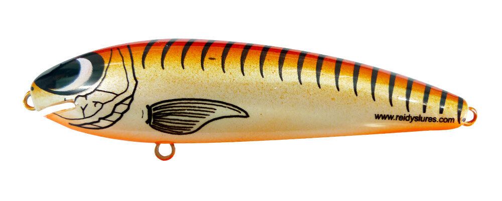 Reidys Taipan Deep 3m — 3m / 038 — manufacturer colour reference