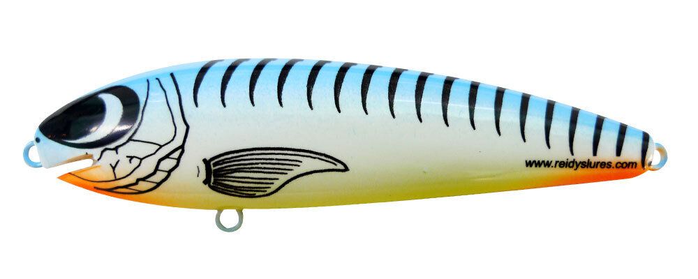 Reidys Taipan 2m — 2m / 02 — manufacturer colour reference