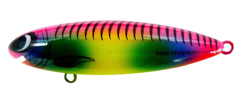 Reidys Little Lucifer 2m — 2m / EJ — manufacturer colour reference