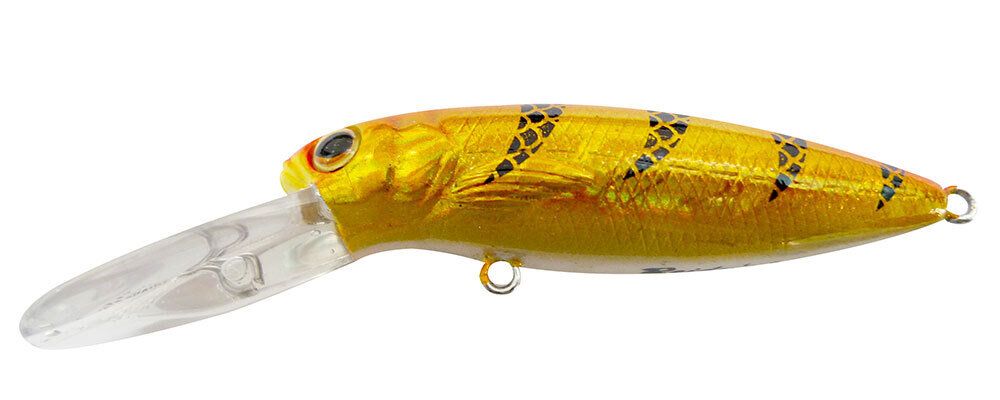 Reidys Little Lucifer Export 2m — 2m / GO — manufacturer colour reference