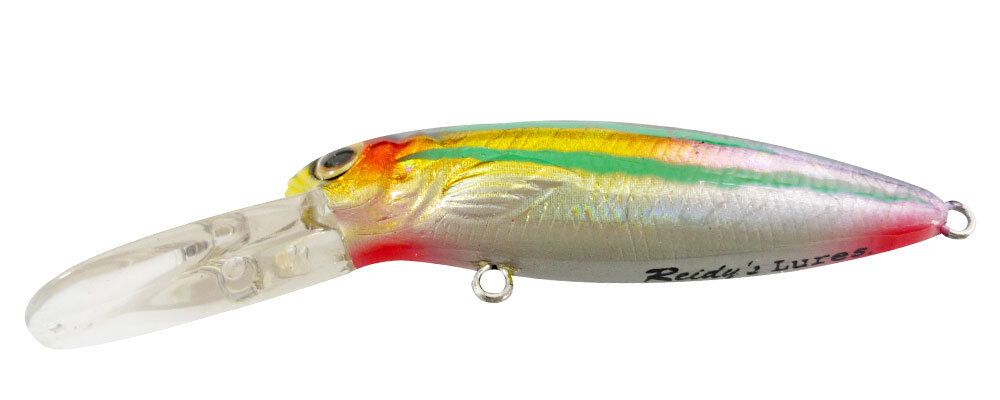 Reidys Little Lucifer Export 2m — 2m / H CA5 — manufacturer colour reference