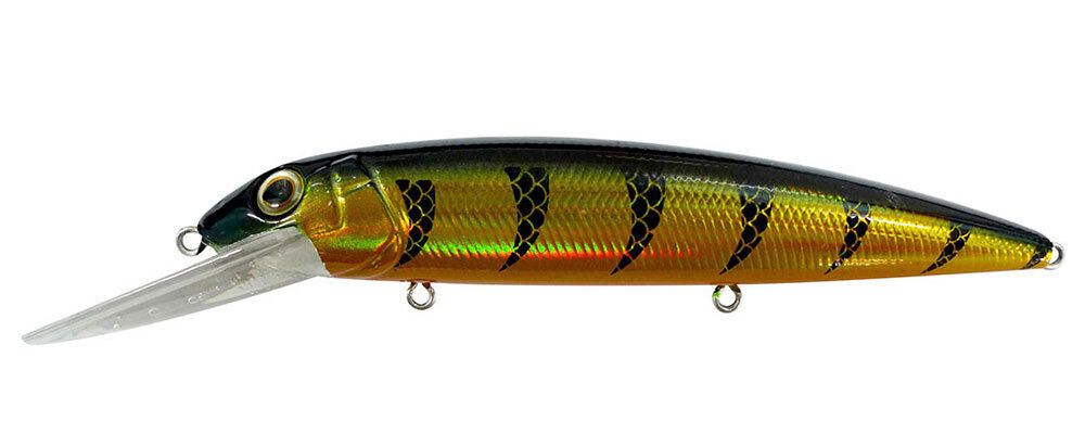 Reidys Judge 125mm — 125mm / G — manufacturer colour reference