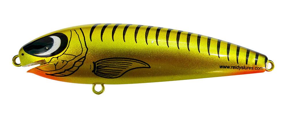 Reidys Taipan Deep — 3m / G — manufacturer colour reference