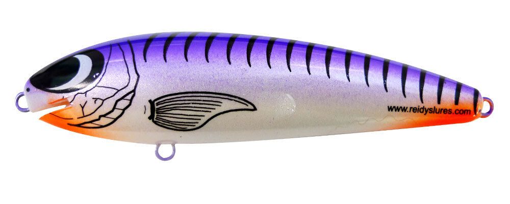 Reidys Taipan 2m — 2m / P — manufacturer colour reference