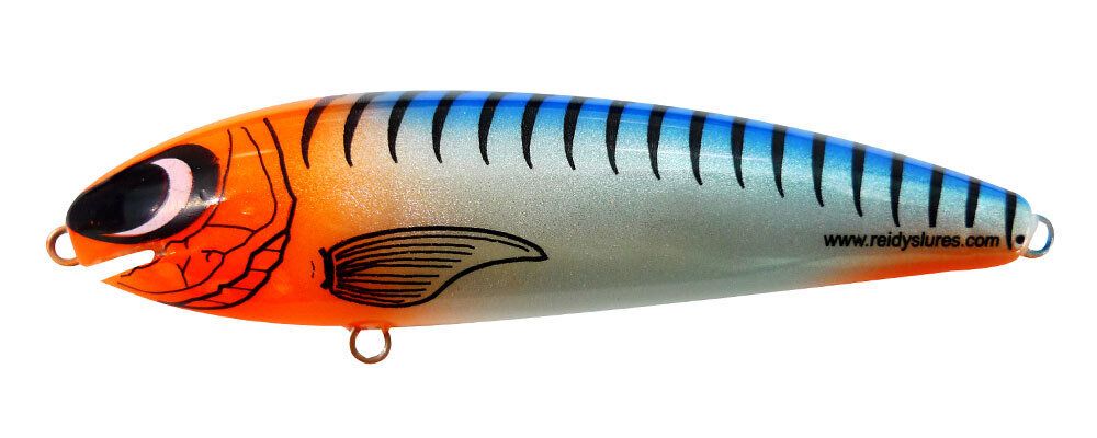 Reidys Taipan 2m — 2m / M4 — manufacturer colour reference