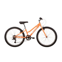 Malvern Star Roxy 24"