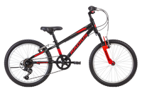 Radius Trailraiser AL 20"