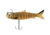 Wilson Live Mullet, Gold Herring colour, manufacturer illustration