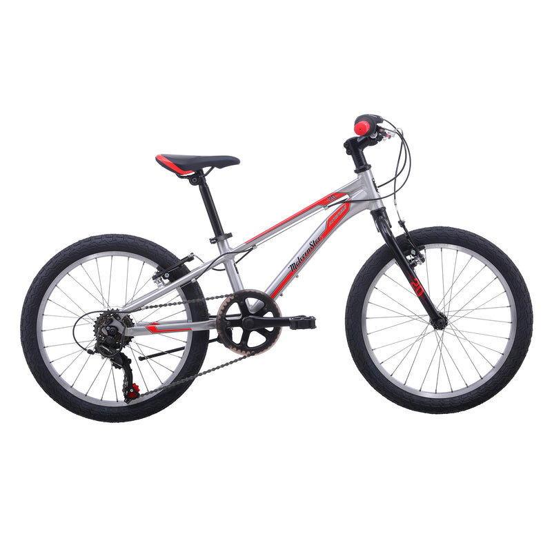 Malvern Star Attitude 20
