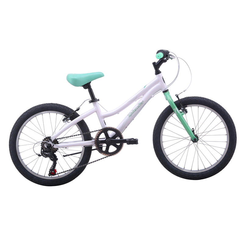 Malvern Star Livewire 20in