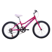 Malvern Star Roxy 20