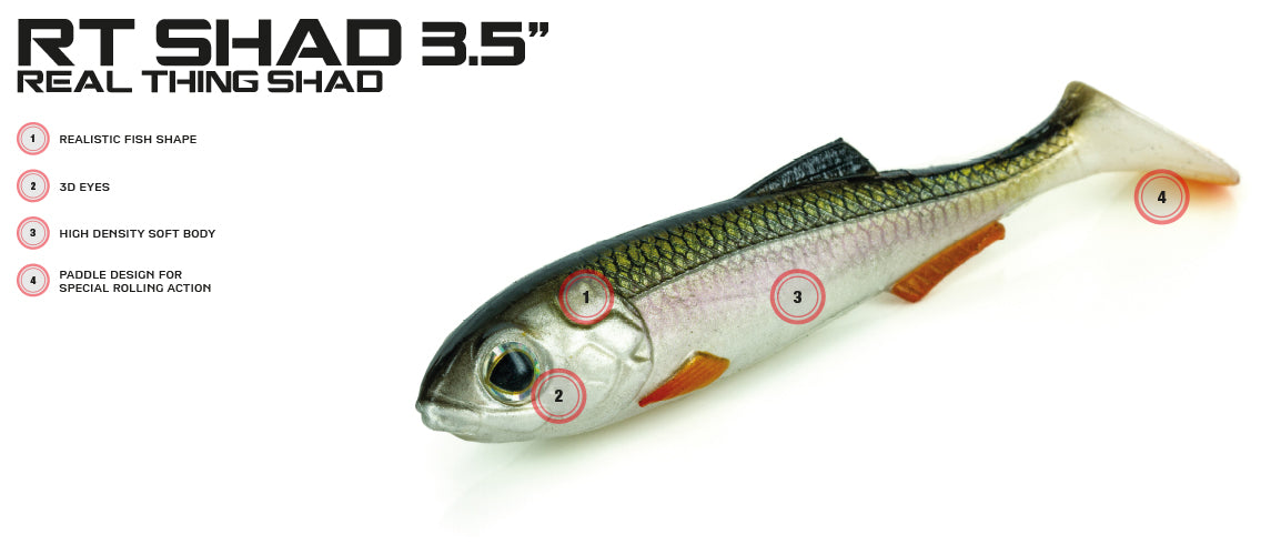 Molix RT Shad