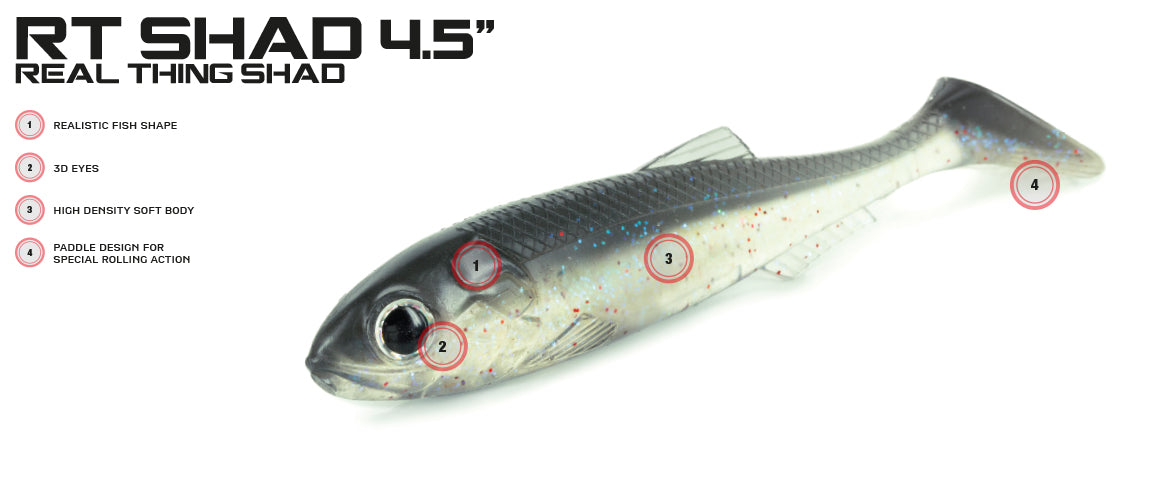 Molix RT Shad