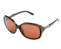 Spotters Sunglasses Mia Gloss Brown