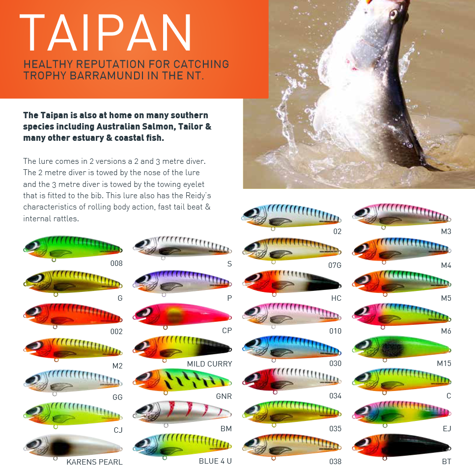 Reidys Taipan 2m