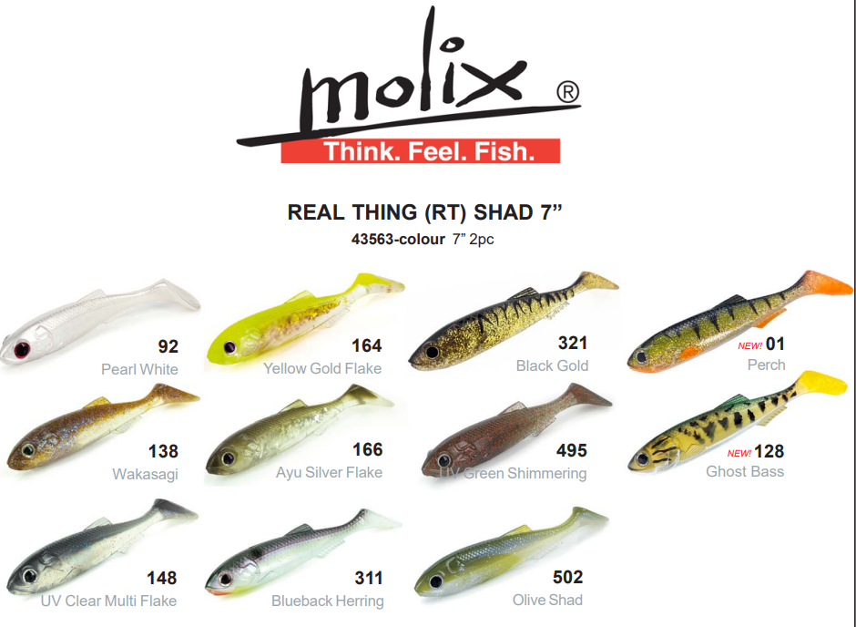 Molix RT Shad