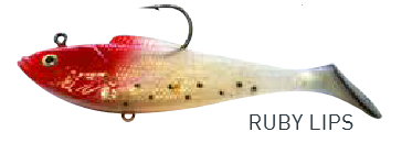 Reidys Shad 4in